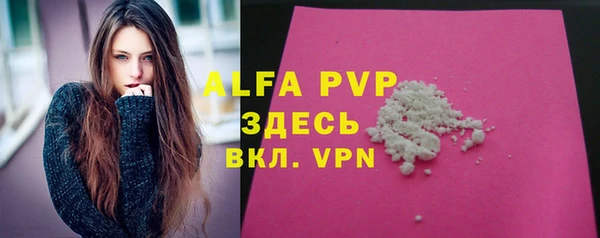 эйфоретик Баксан