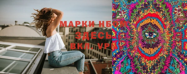 эйфоретик Баксан