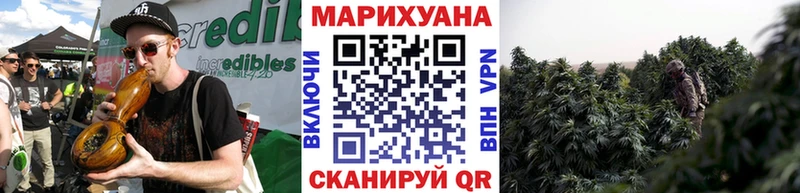Бошки марихуана ГИДРОПОН  закладка  Шумерля 